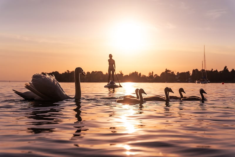 ripples