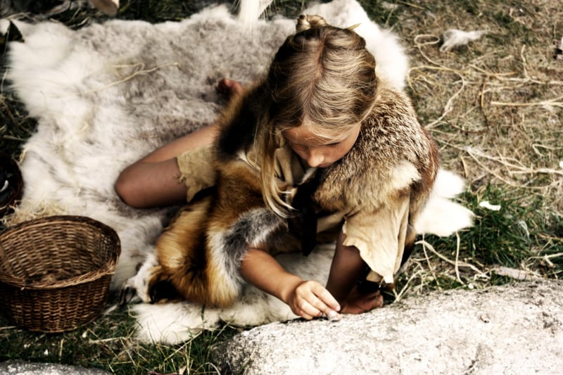 Stone Age